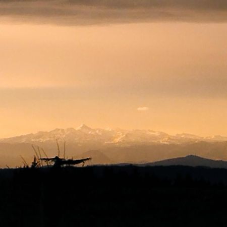 Appartement, Vue Sur Les Pyrenees Pouillon エクステリア 写真