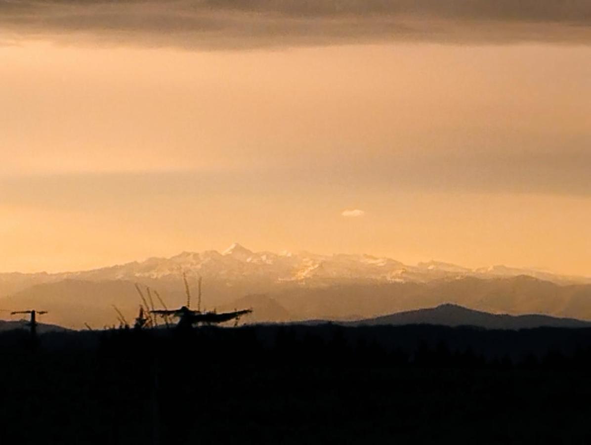 Appartement, Vue Sur Les Pyrenees Pouillon エクステリア 写真